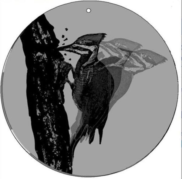 Woodpecker Medium 5.5 Inch CineSpinner Animated Suncatcher