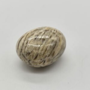 Zebradorite Freeform Hand Polished 1.25  Inches w Info Card