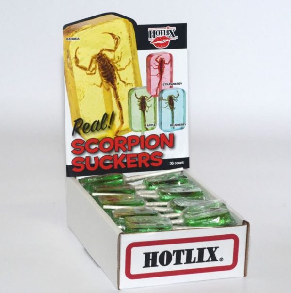 Hotlix Scorpion Apple Sucker - Box of 36 Real Insect Bug Candy Lollipops