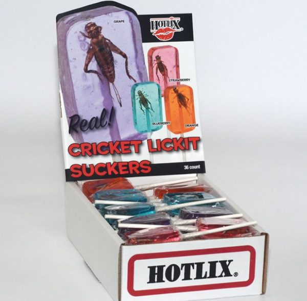 Hotlix Cricket Sucker Box of 36 Real Insect Bug Candy Lollipops 4 Assorted Flavors