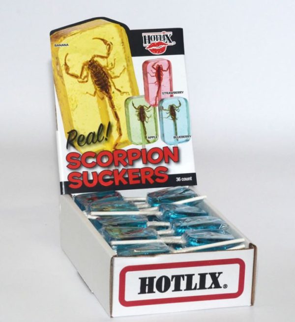 Hotlix Scorpion Blueberry Sucker - Box of 36 Real Insect Bug Candy LollipopS