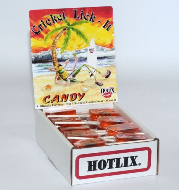 Orange Hotlix Cricket Licket Sucker - Box of 36 Real Insect Bug Candy Lollipops