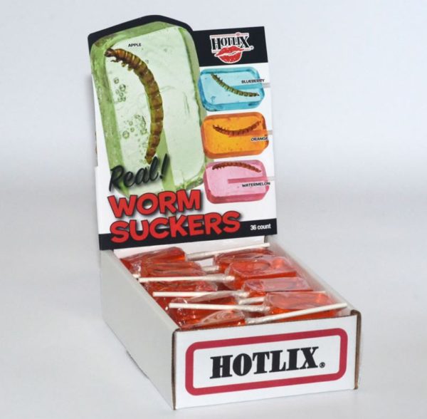 Orange Hotlix Worm Sucker - Box of 36 Real Insect Bug Candy Lollipops