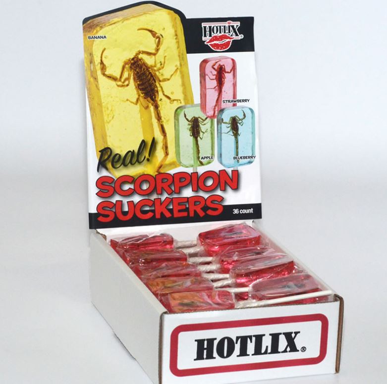 Hotlix Scorpion Strawberry Sucker - Box of 36 Real Insect Bug Candy  Lollipops